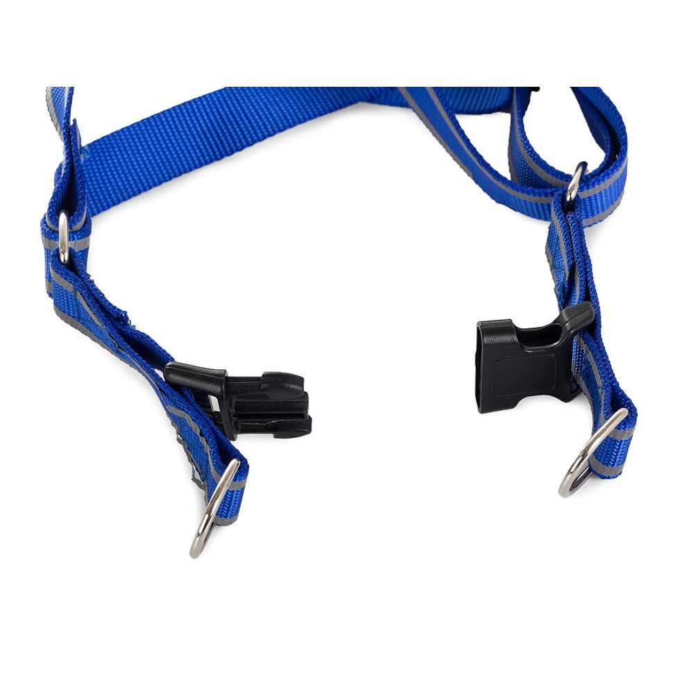 Harness for a cat dog + reflective leash, col 1.5 Shop kitchen home