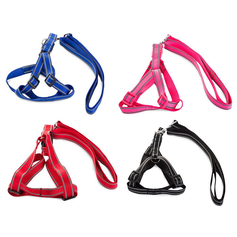 Harness for a cat dog + reflective leash, col 1.5 Shop kitchen home